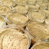 Garlic and ginger seasoning