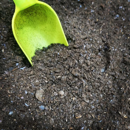 Ground Black Lime