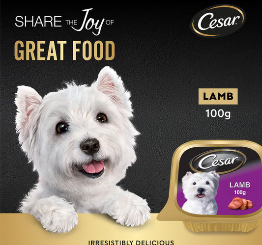 Cesar Lamb Dog Wet Food 100 g
