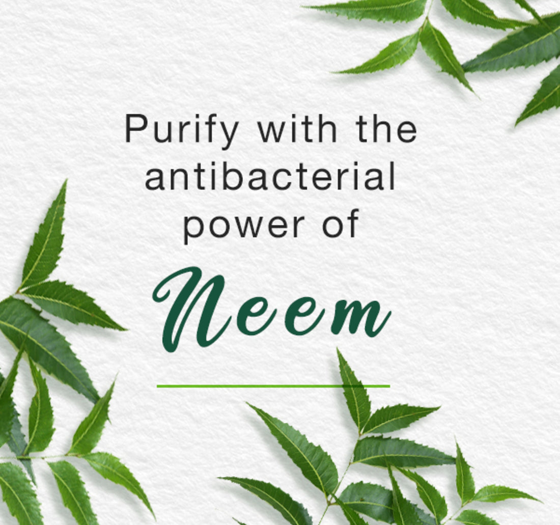 Himalaya Purifying Neem Foaming Face Wash 150 g