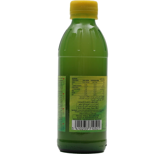 Real Lemon 250 ml