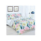 Austir Bed Sheet Queen 3Pcs Set 20-01 Assorted