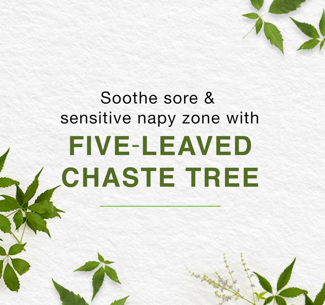 Himalaya Diaper Rash Cream 100 ml