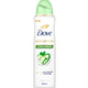 Dove Go Fresh Women Anti-Perspirant Deodorant Spray Cucumber & Green Tea Alcohol Free 150 ml
