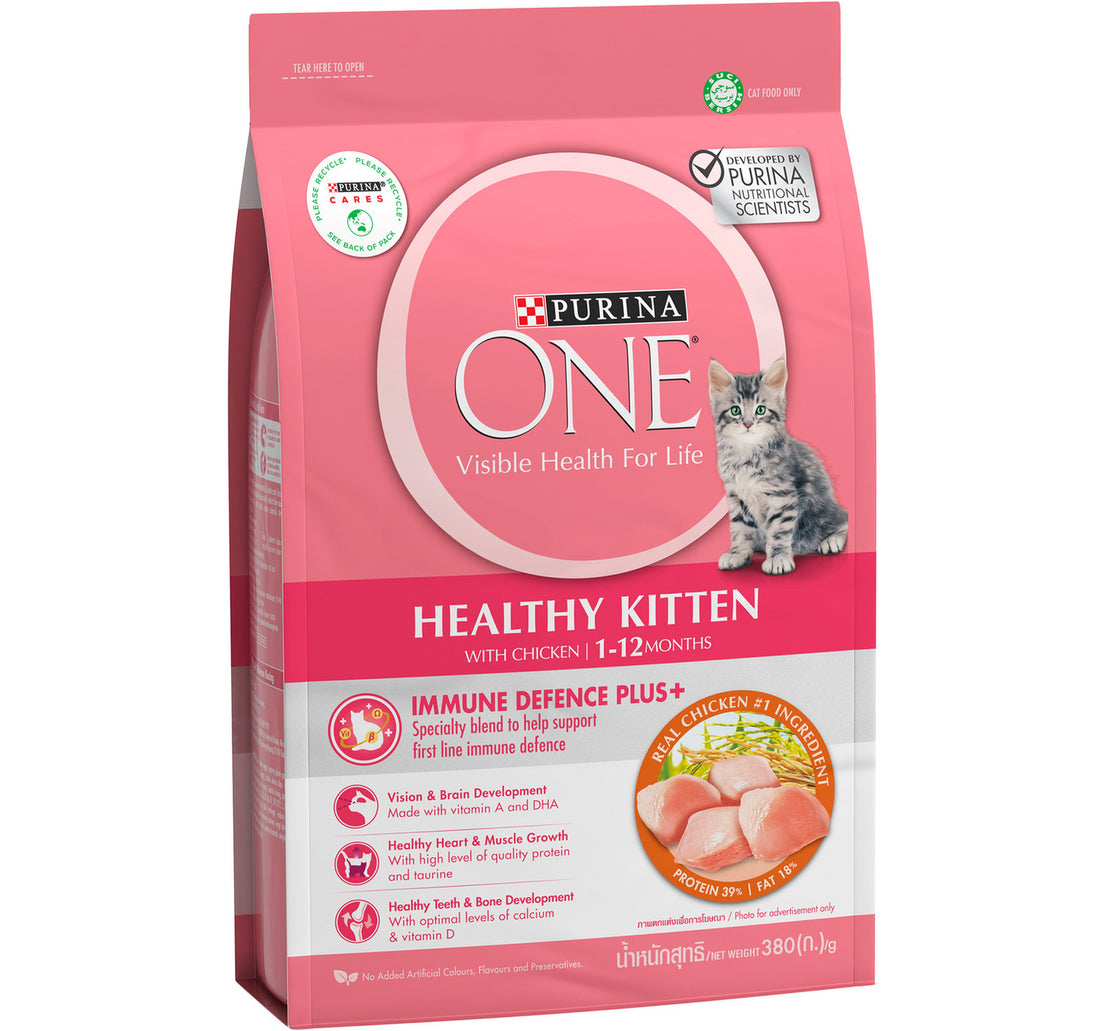 Purina One Healthy Kitten Catfood With Chicken For 1-12 Months 380 g