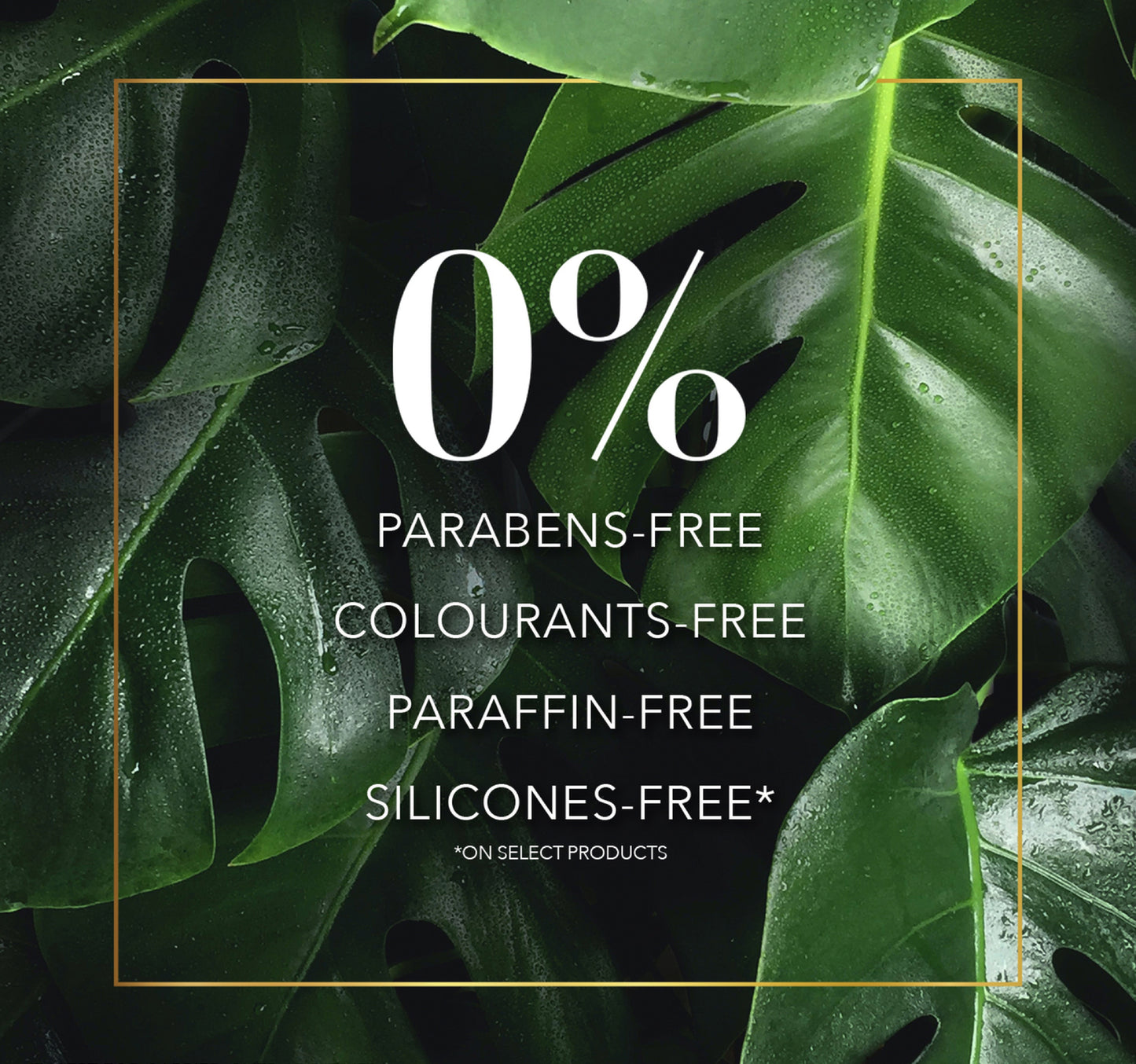 Herbal Essences Bio: Renew Smooth Golden Moringa Oil Shampoo 400 ml