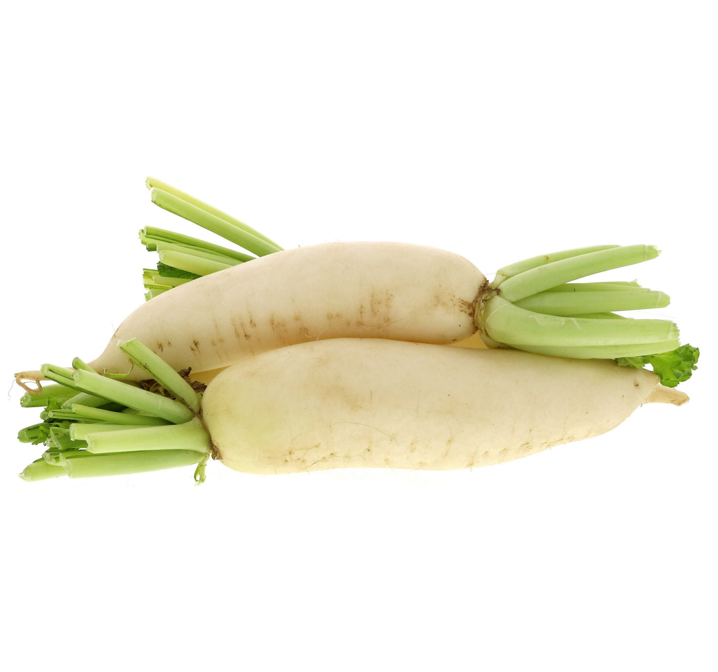 Local White Radish 1 kg