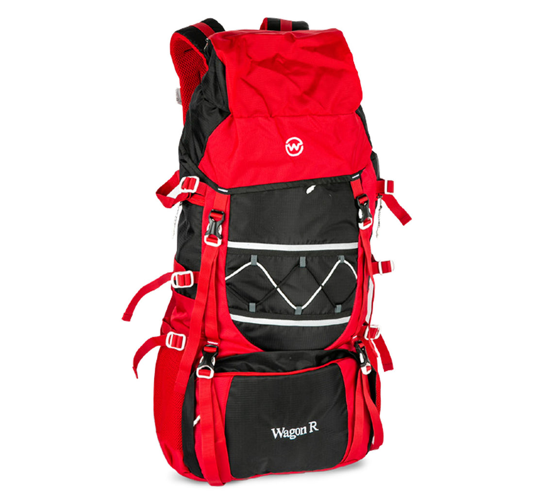 Wagon R Vibrant Treking Bag 1001 65Ltr Assorted