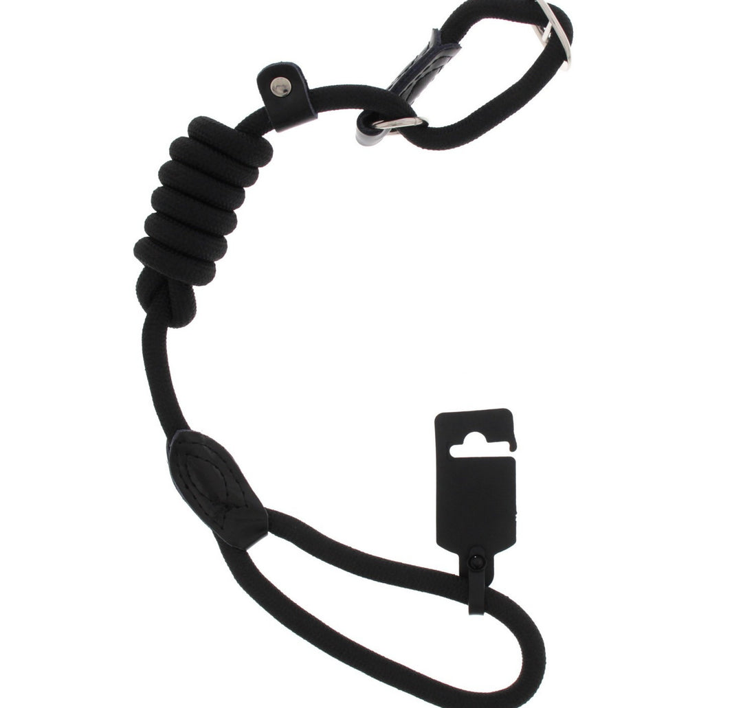 Pet Zone Dog Leash Assorted 1 pc