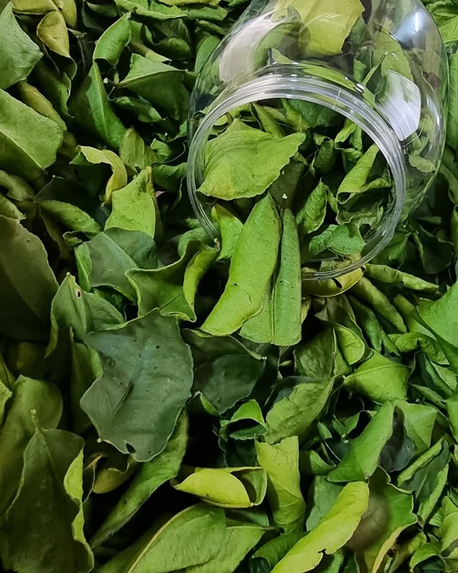 Dried Thai lime leaves