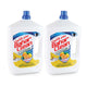 Bahar Clean Household Disinfectant Assorted 2 x 3 Litre