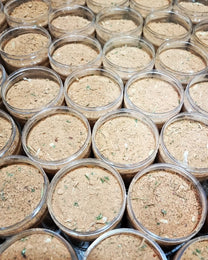 خليط الكزبرة والثوم والبصل والتوابل