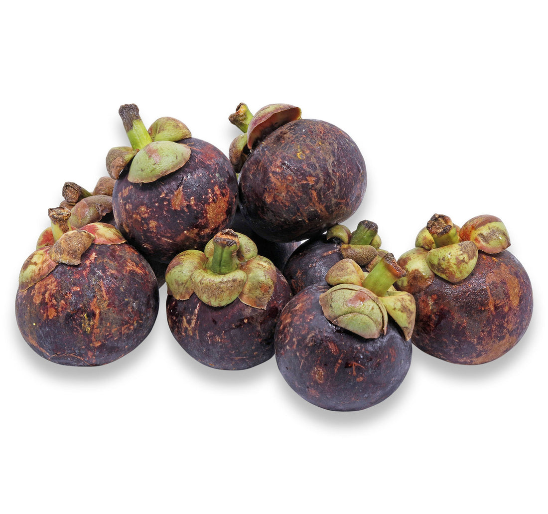 مانغوستين 1 عبوة