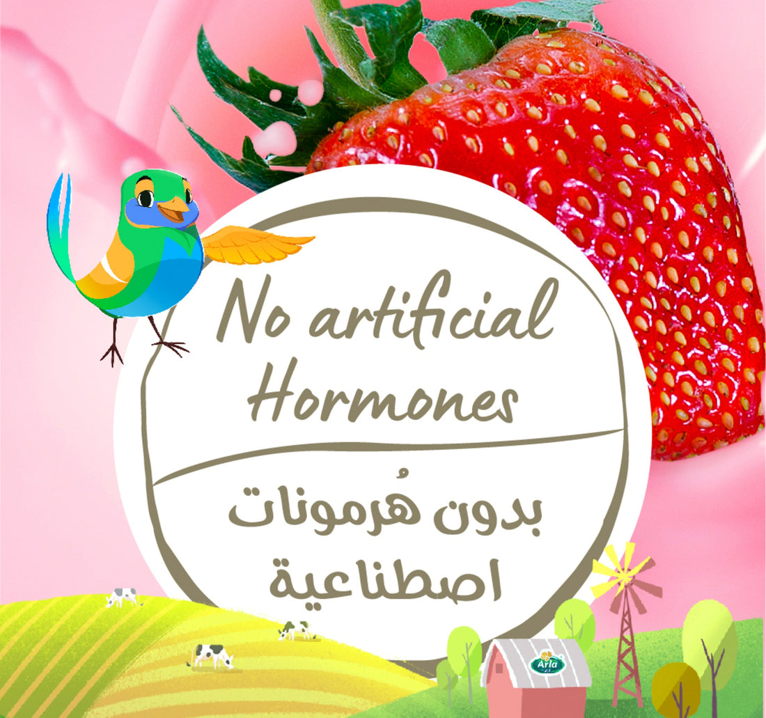 Arla Organic Milk Strawberry Flavor 200 ml