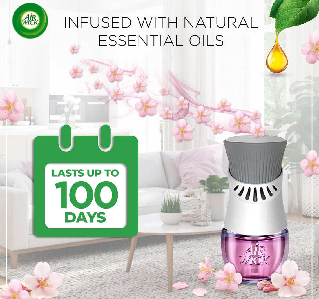 Air Wick Scented Oil Fragrance Diffuser Refill Cherry Blossom Fragrance 19 ml