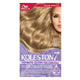 Koleston Supreme Light Ash Blonde 8/1 1 pkt