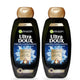 Garnier Ultra Doux Shampoo Black Charcoal & Nigella Seed Oil 2 x 400 ml