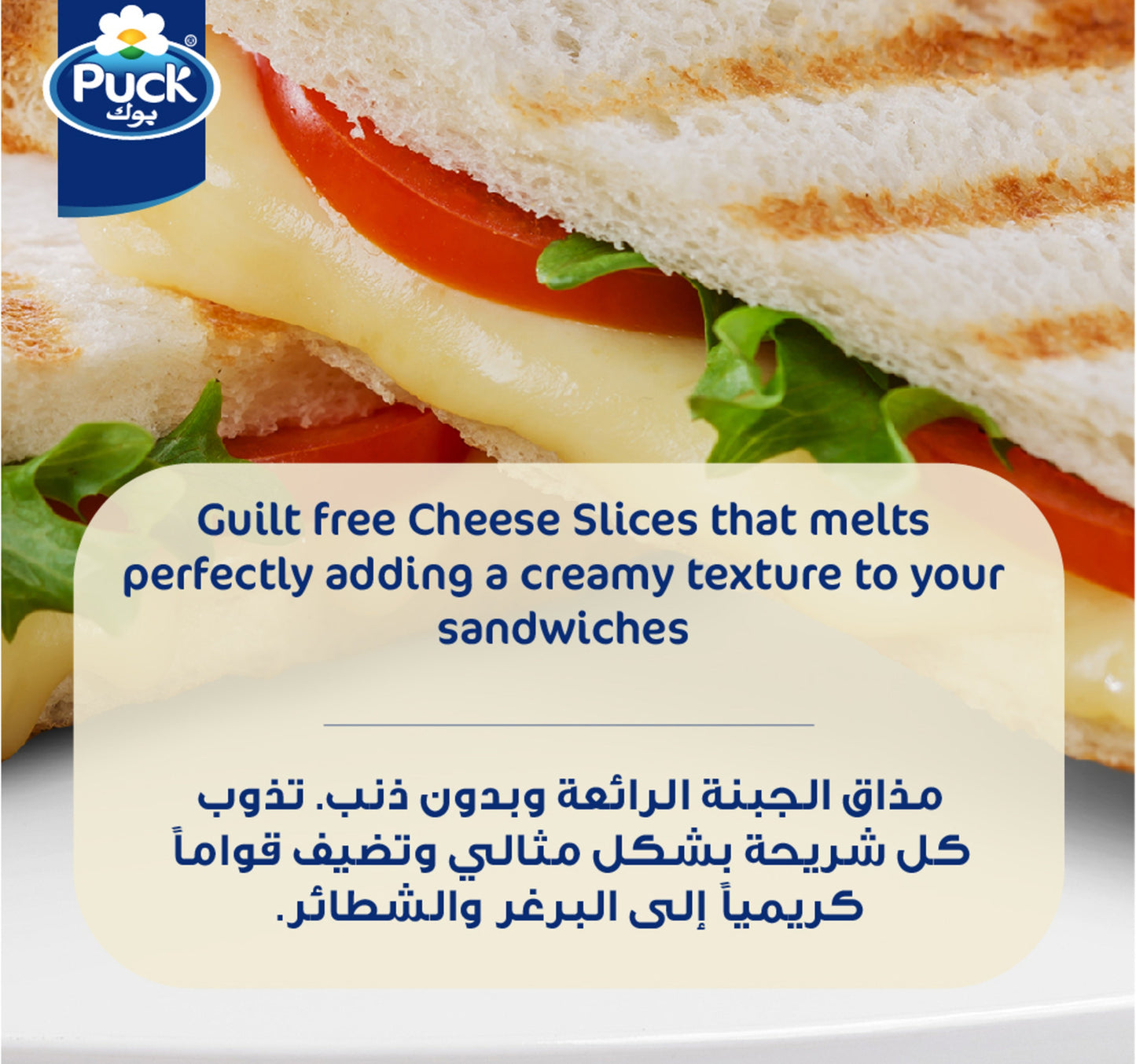 Puck Cheese 10 Slices Low Fat 200 g