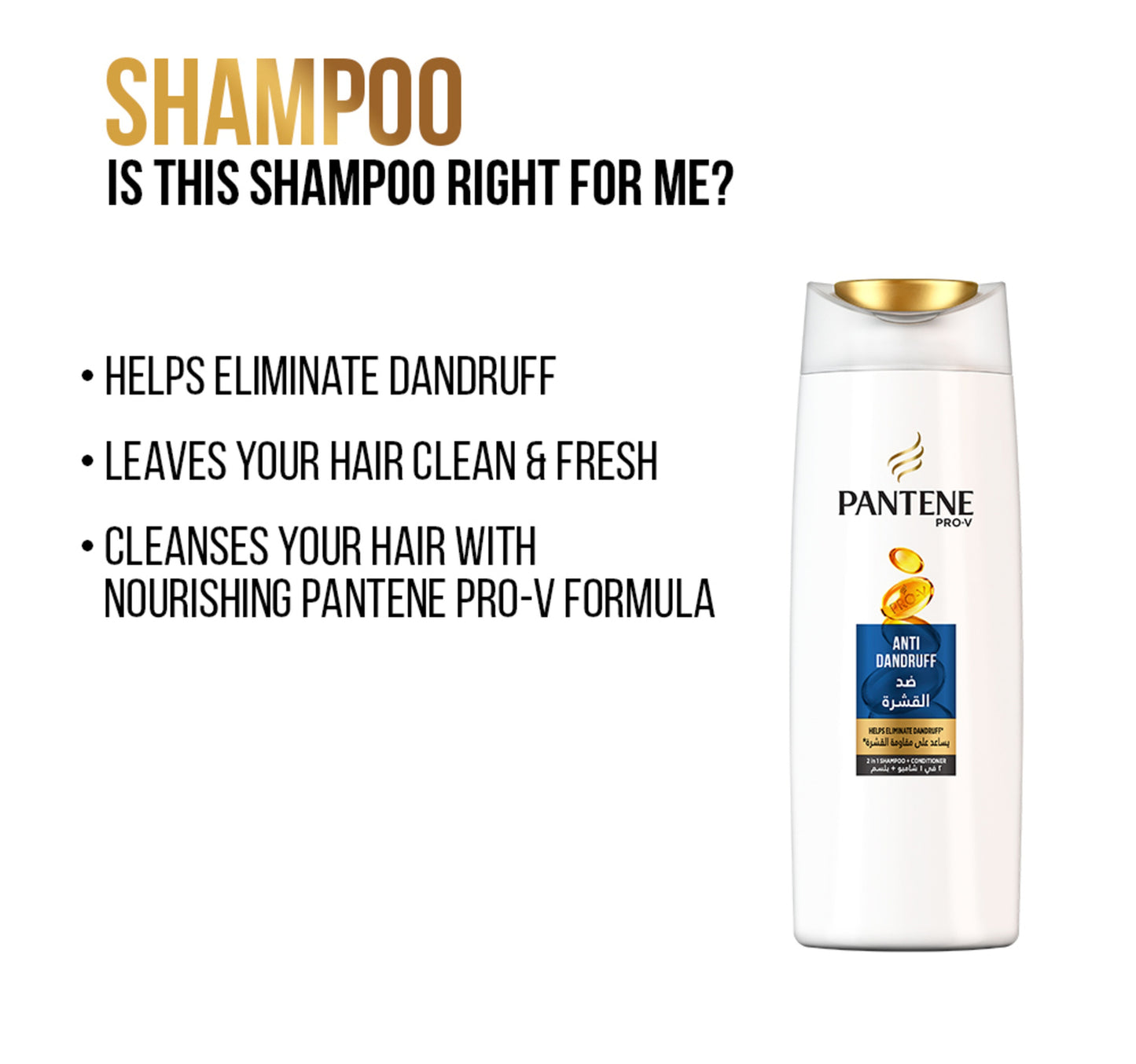 Pantene Pro-V Anti-Dandruff 2in1 Shampoo 200 ml