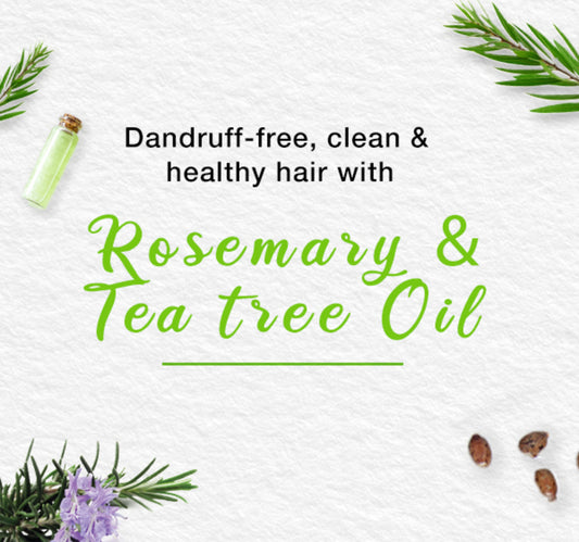 Himalaya Anti-Dandruff Shampoo Value Pack 2 x 400 ml