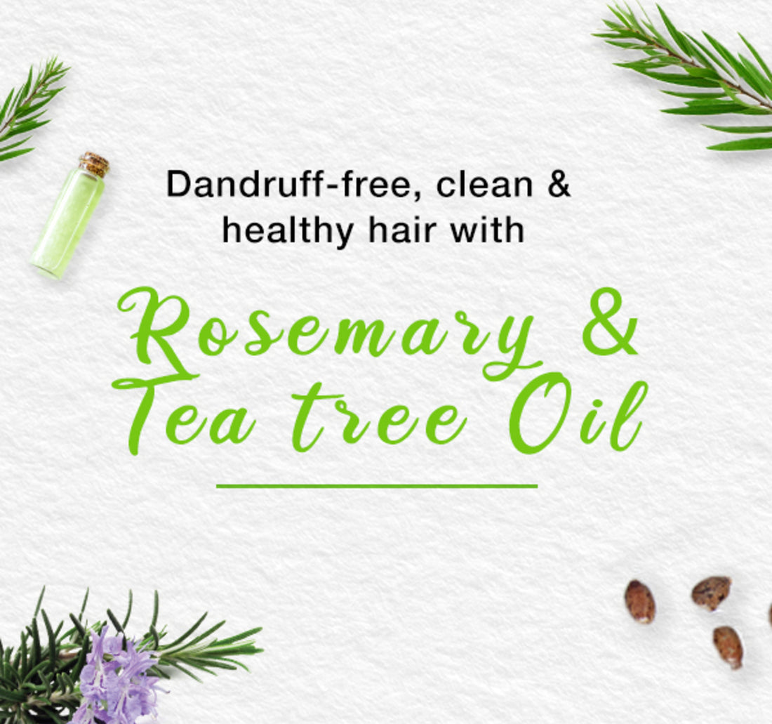 Himalaya Anti-Dandruff Shampoo Value Pack 2 x 400 ml