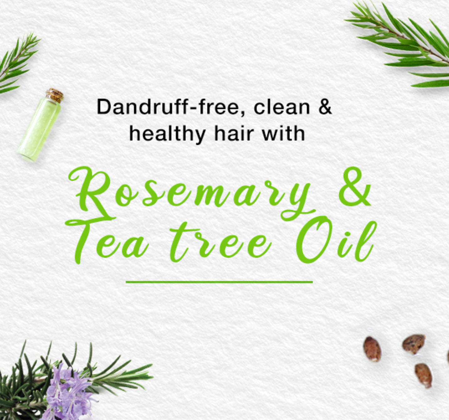 Himalaya Anti-Dandruff Shampoo Value Pack 2 x 400 ml