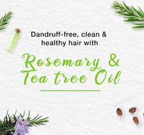 Himalaya Anti-Dandruff Shampoo Value Pack 2 x 400 ml