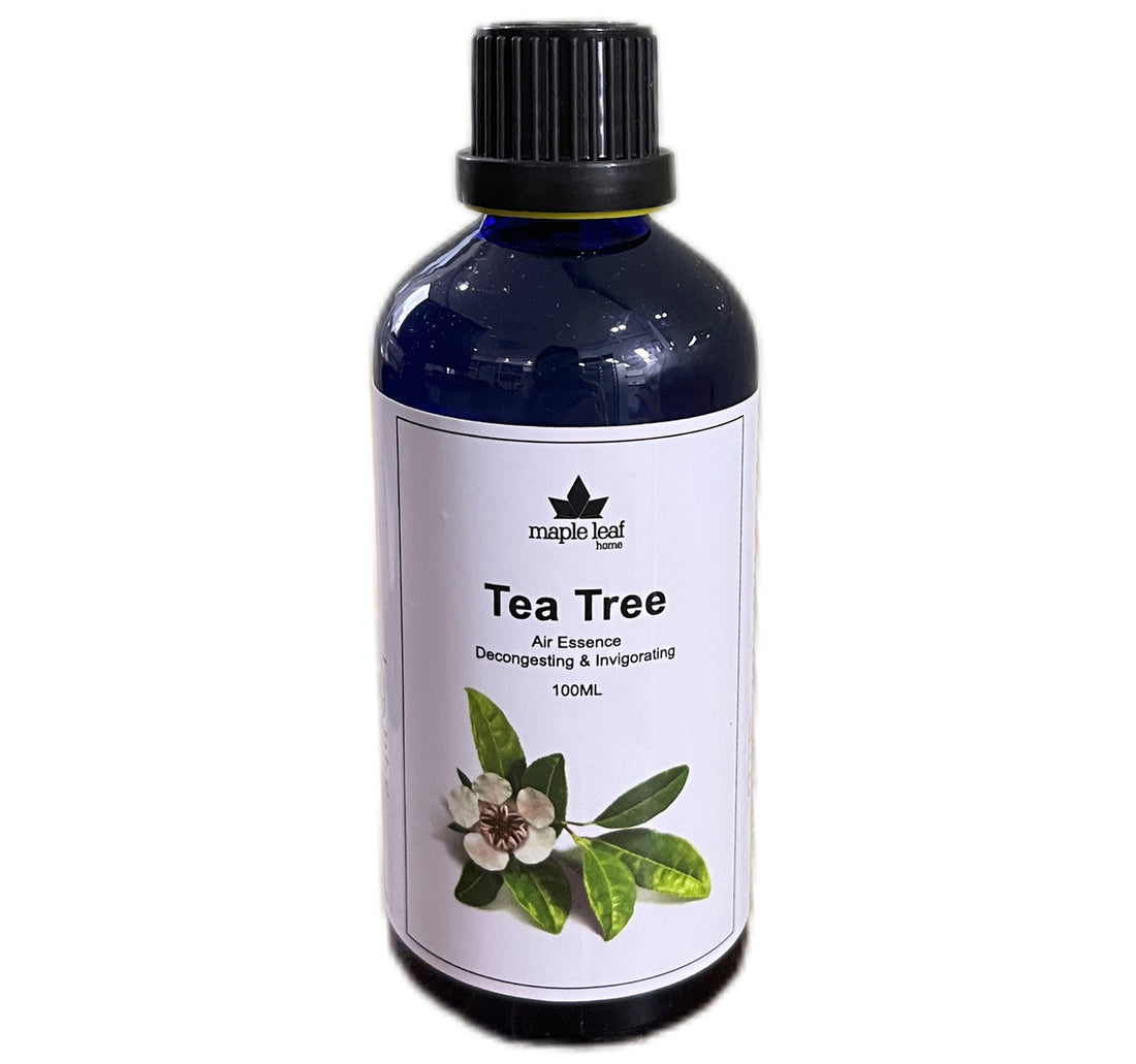 Maple Leaf Tea Tree Essential Fragrance Oil 100ml