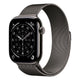Apple Watch Series 11 GPS + Cellular Smartwatch, 46 mm Slate Titanium Case with Slate Milanese Loop (M/L), MFD44AF/A
