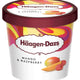 Haagen-Dazs Ice Cream Mango & Raspberry 100 ml