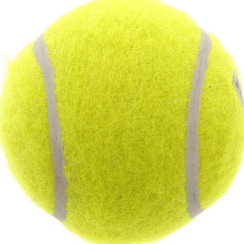 Karson Cricket Ball Yellow
