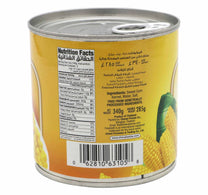 Durra Tomato Paste 375 g