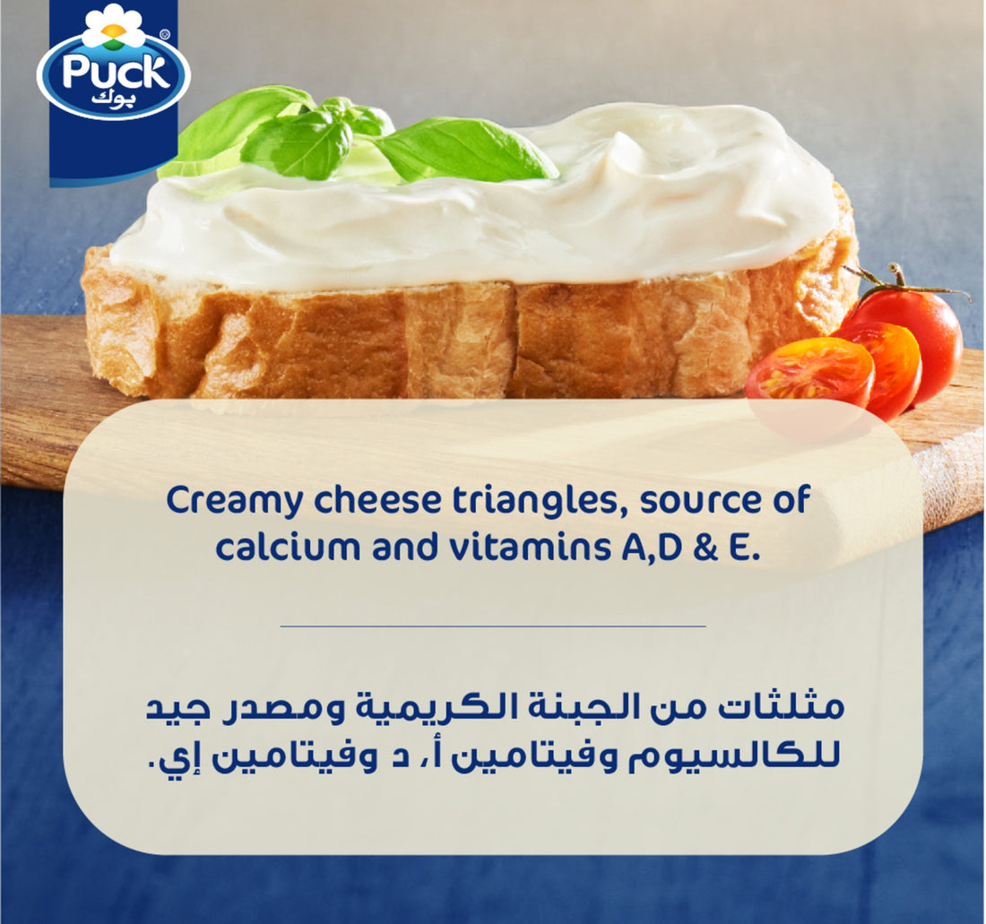 Puck Cheese Triangles 16 Portions 240 g