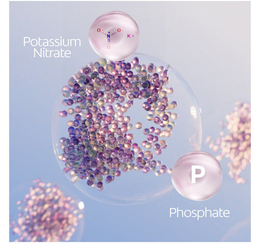 Colgate Total Active Protection Fresh Mint Toothpaste 2 x 75 ml