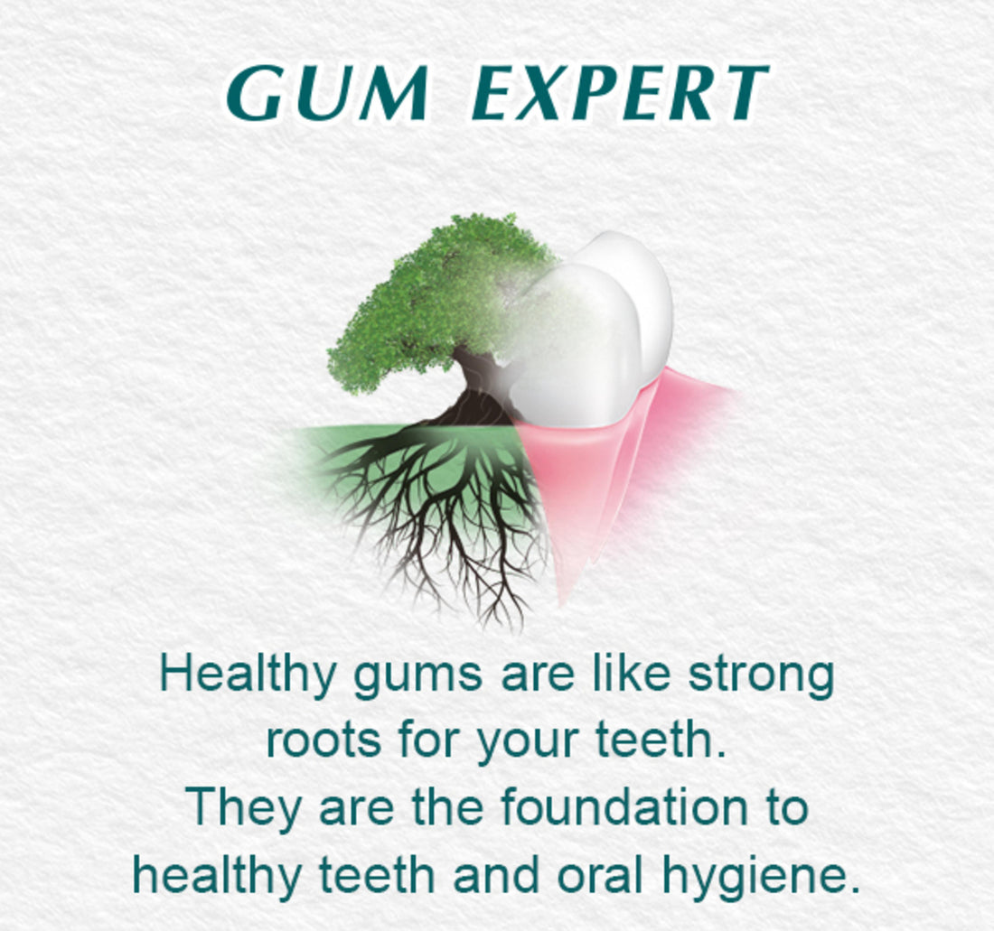 Himalaya Toothpaste Mint Fresh Herbal 125 g