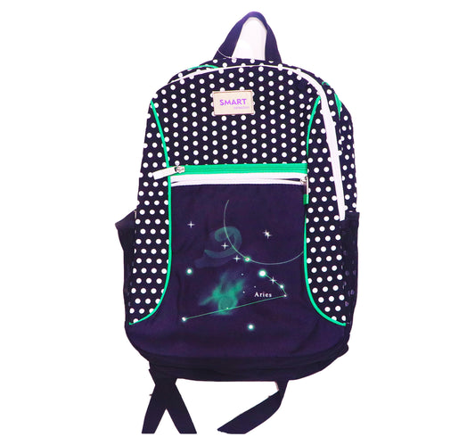 Smart LED Back Pack ARIES AR01
