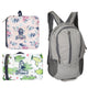 Wagon R Foldable Backpack, Assorted, F1810078