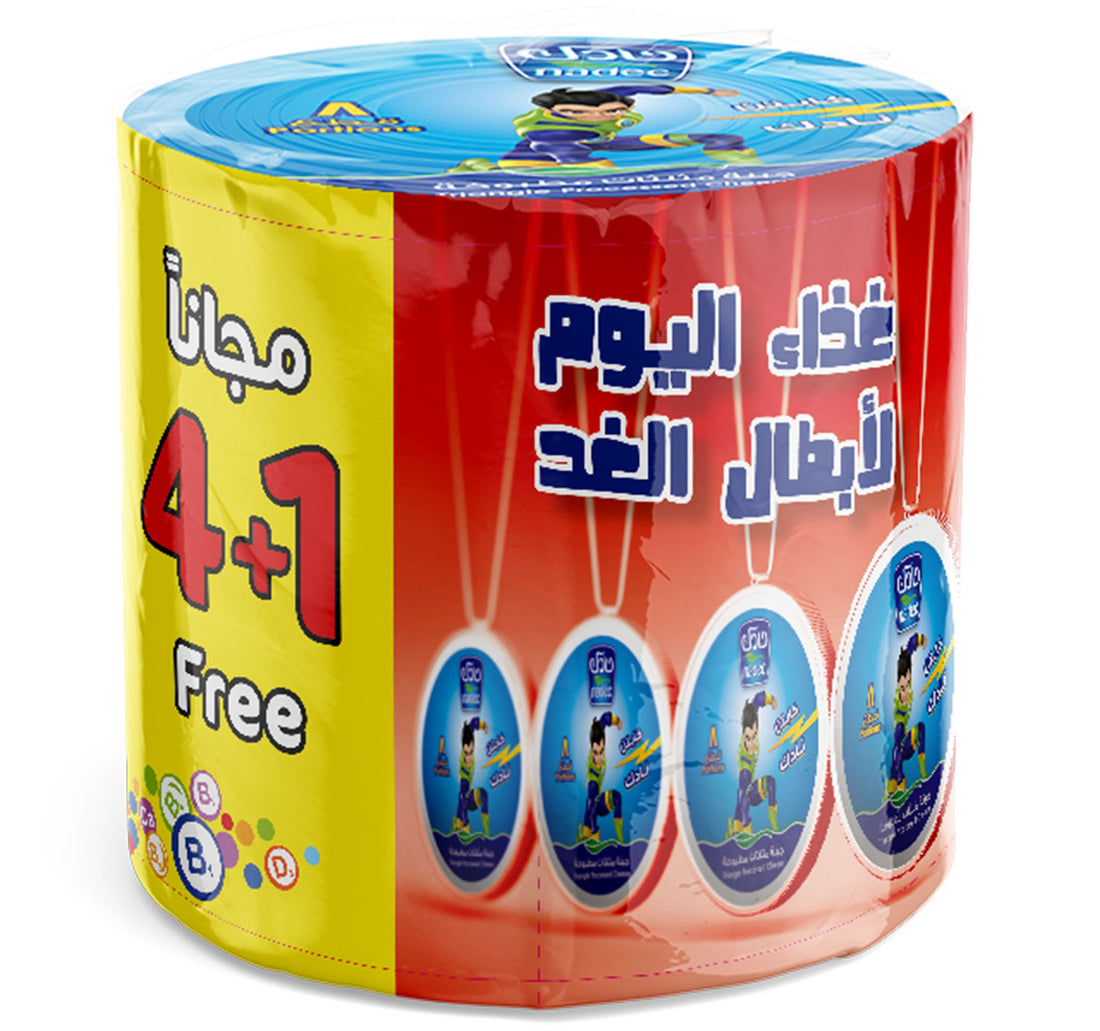 Nadec Triangle Cheese 8 Portions 100 g 4+1