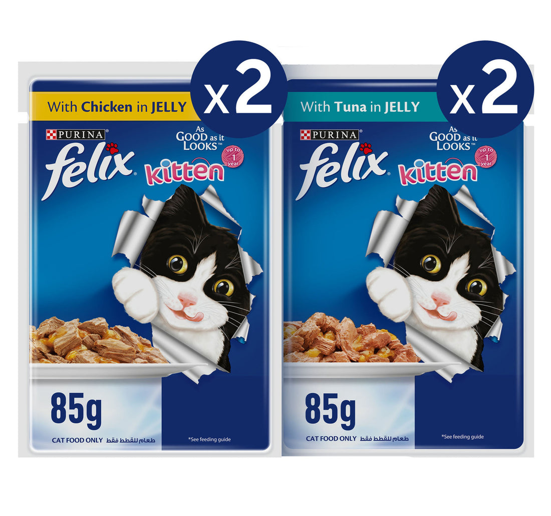 Purina Felix As Good As It Looks Kitten Cat Food in Jelly (2 x 85 g Chicken Pouches + 2 x 85 g Tuna Pouches)