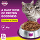 Whiska Cat Food With Chicken In Gravy For 1+ years 80 g