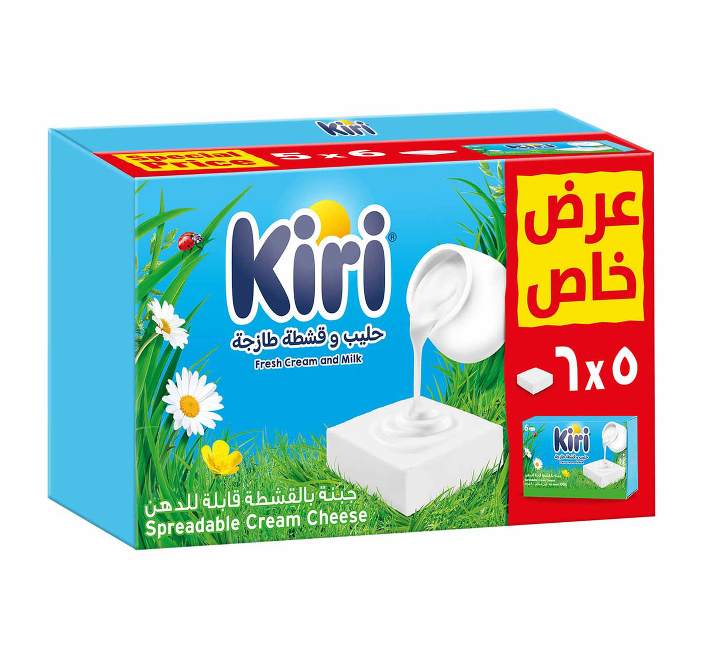 Kiri Spreadable Cream Cheese Squares 5 x 6 Portions 500 g
