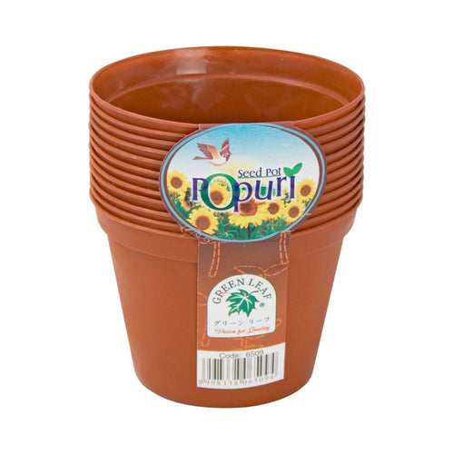 Green Leaf Seed Pot Set 12pc Assorted Colors