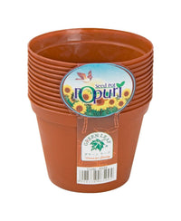Green Leaf Seed Pot Set 12pc Assorted Colors