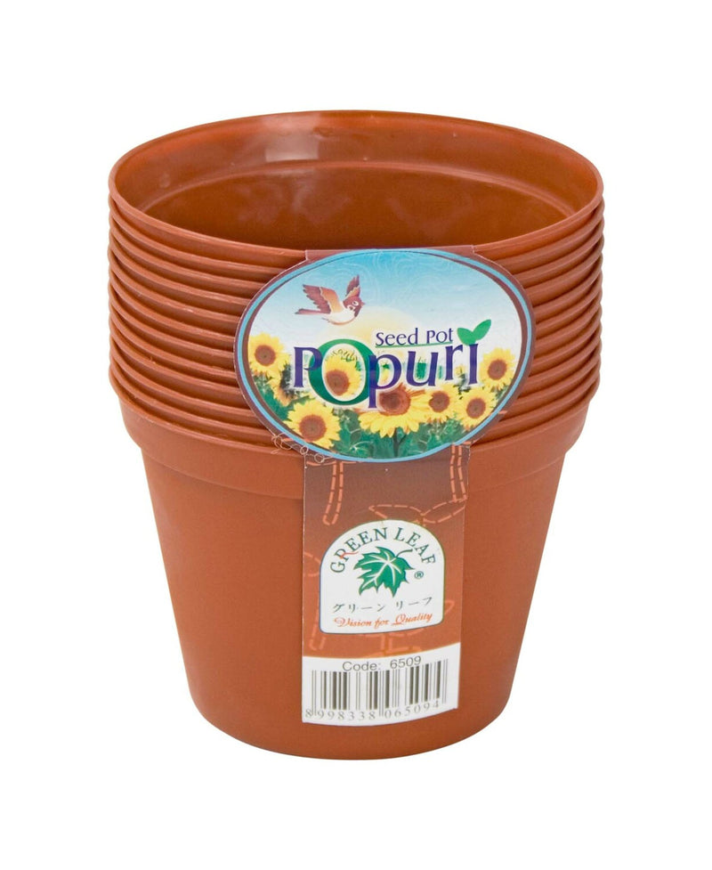 Green Leaf Seed Pot Set 12pc Assorted Colors