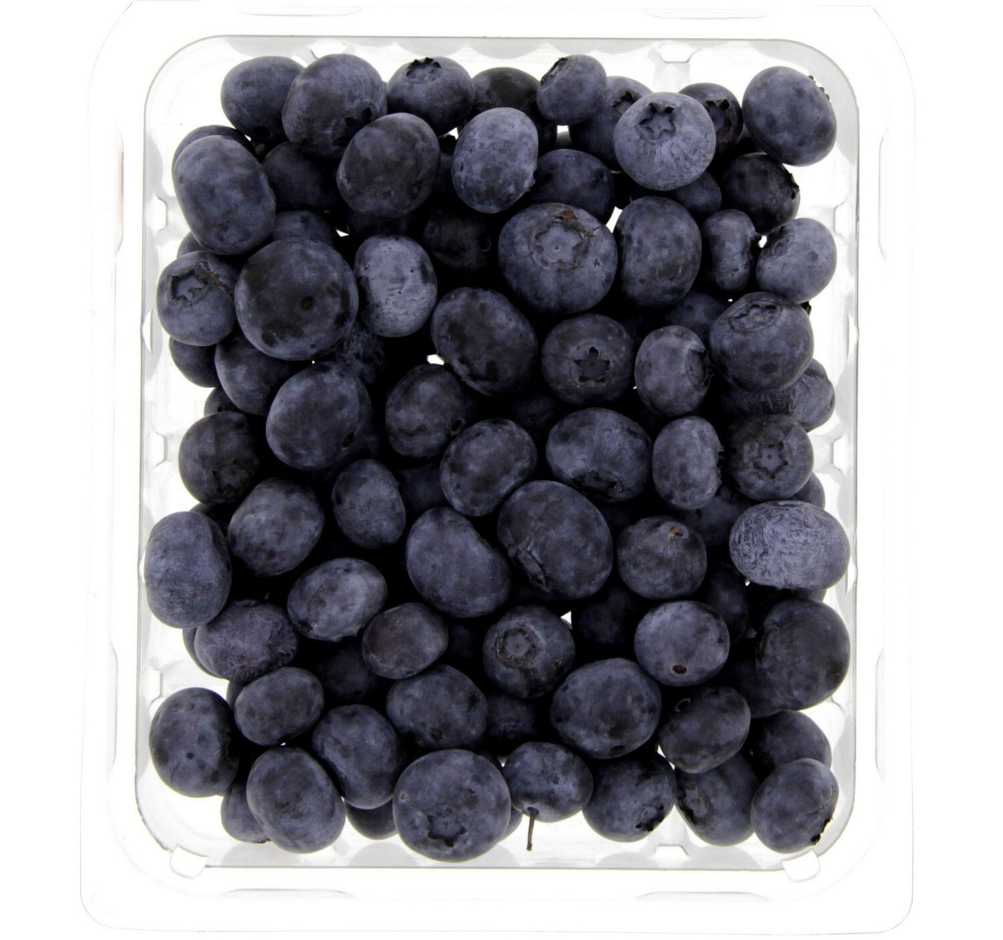 Blueberry Poland 125 g