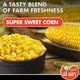 Al Ain Sweet Corn 500 g