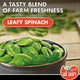 Al Ain Frozen Spinach Whole Leaves Premium Vegetable 400 g