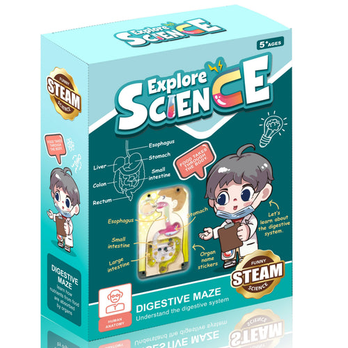 Teng Xin Explore Science Digestive Play Set, TXL-116