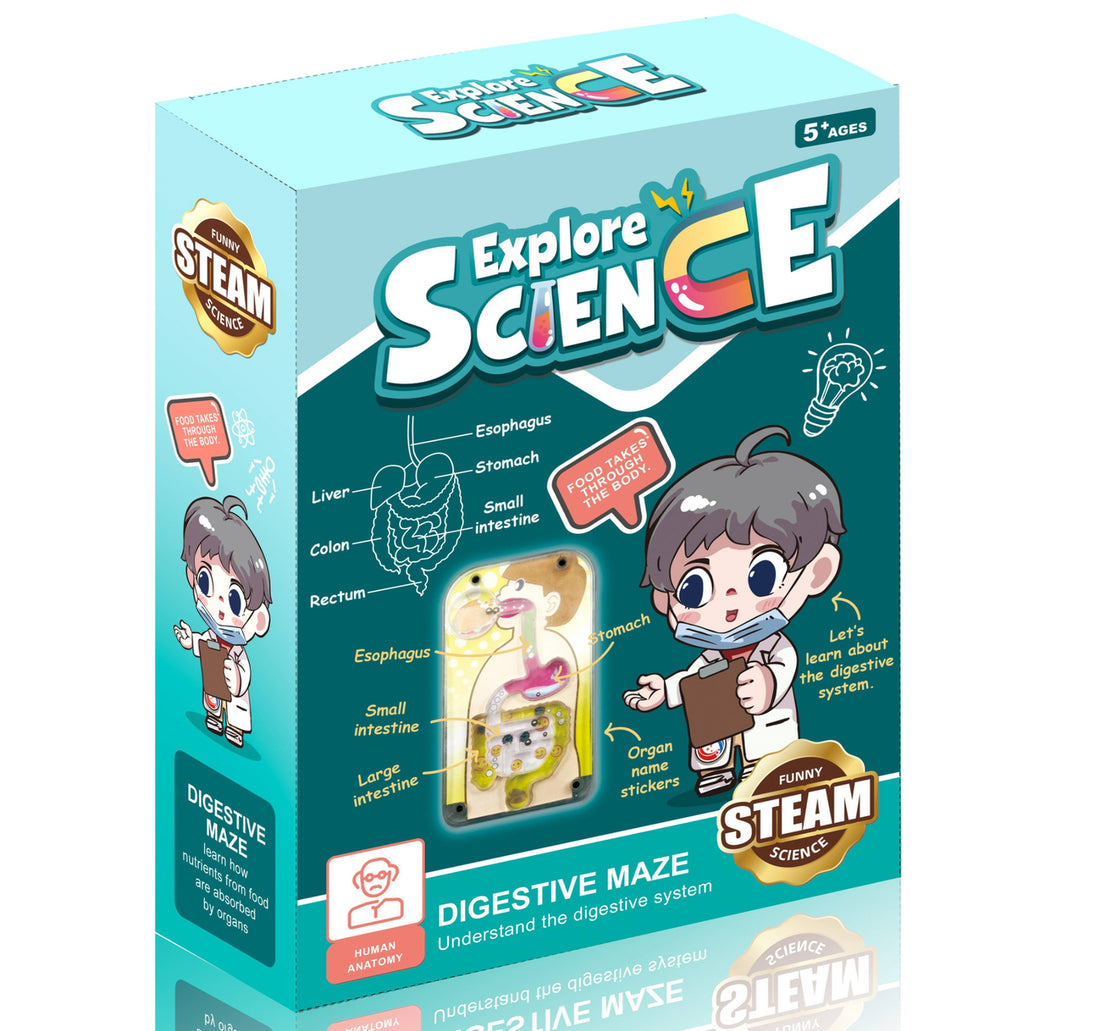 Teng Xin Explore Science Digestive Play Set, TXL-116