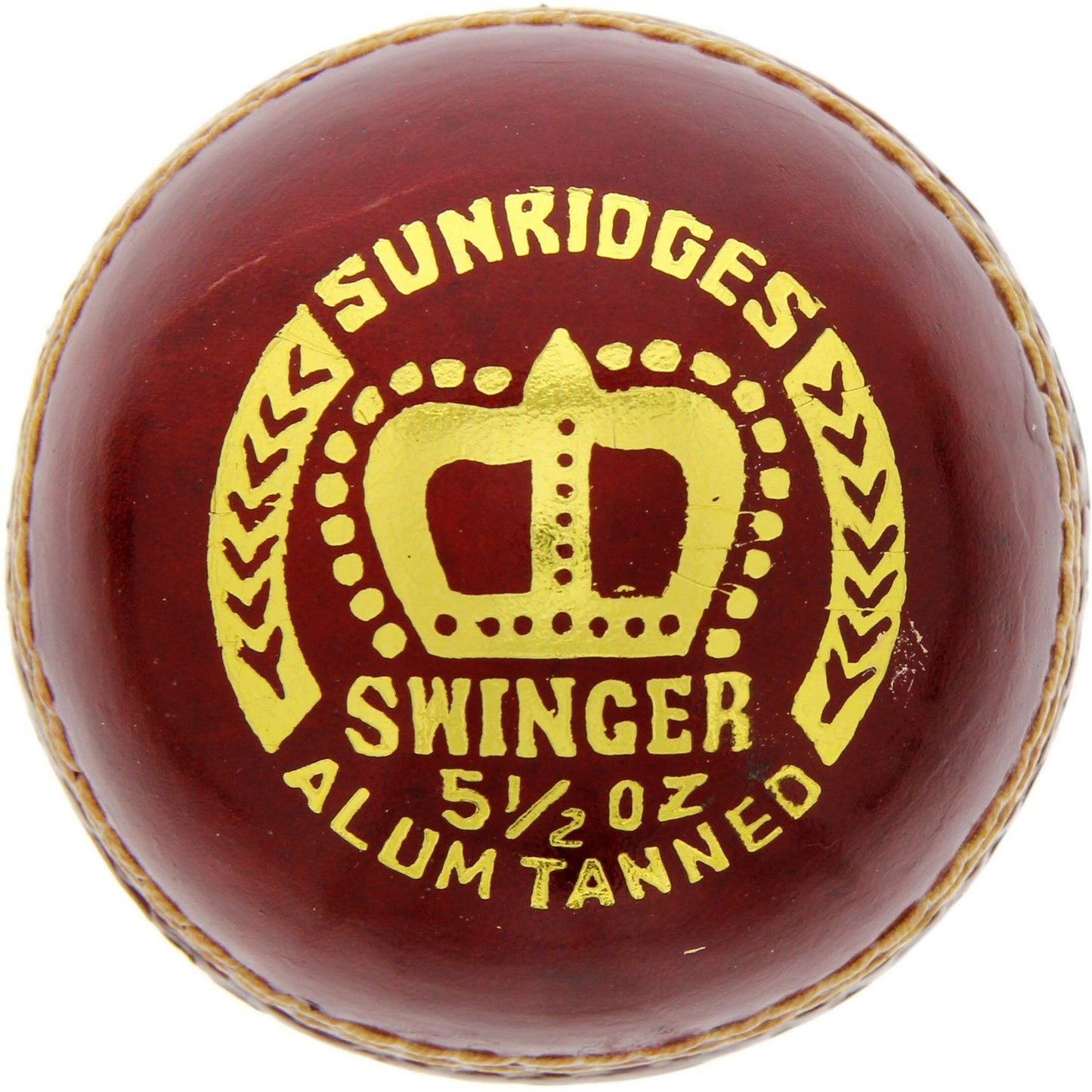 SS Cricket Ball Swinger 10030019